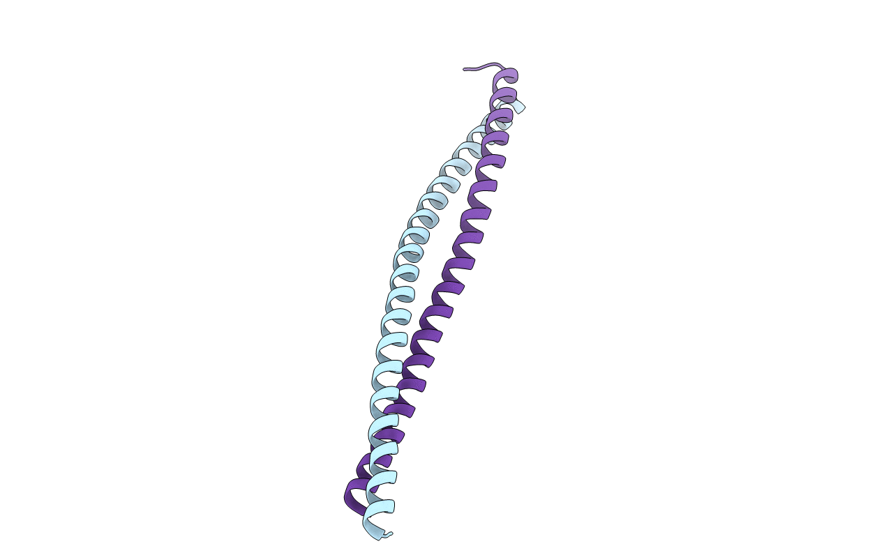 6ANO image