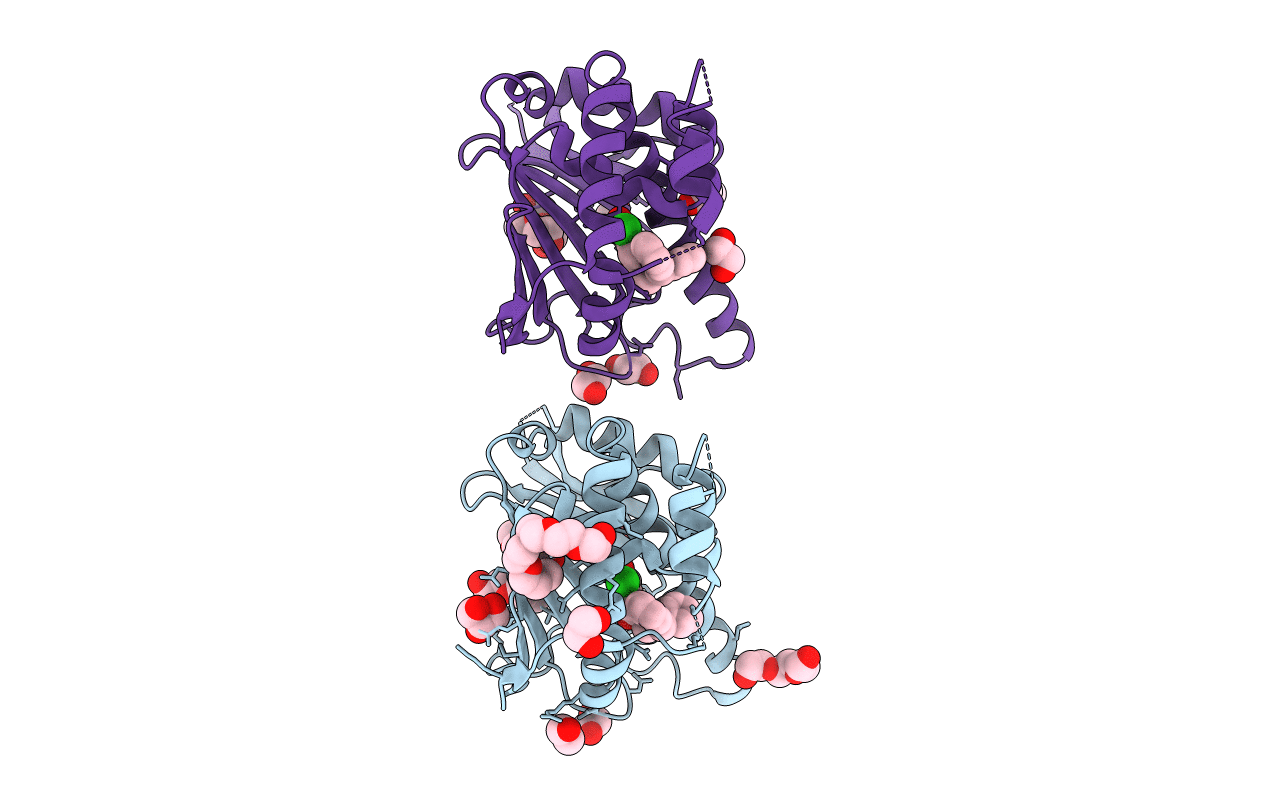 6AOM image