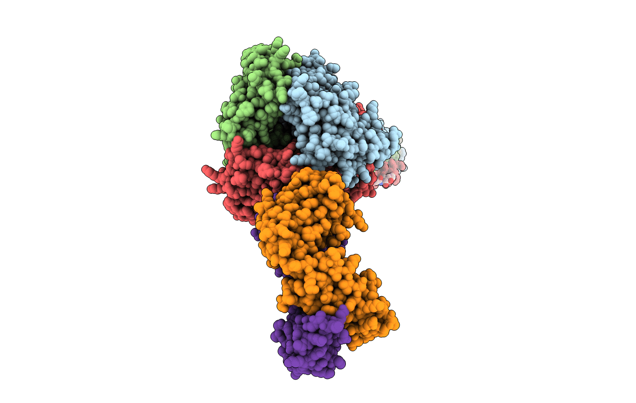 6APB image