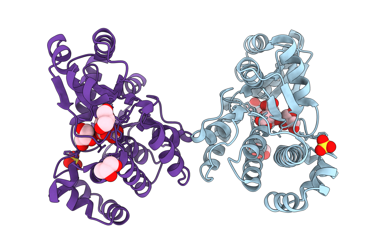 6APF image
