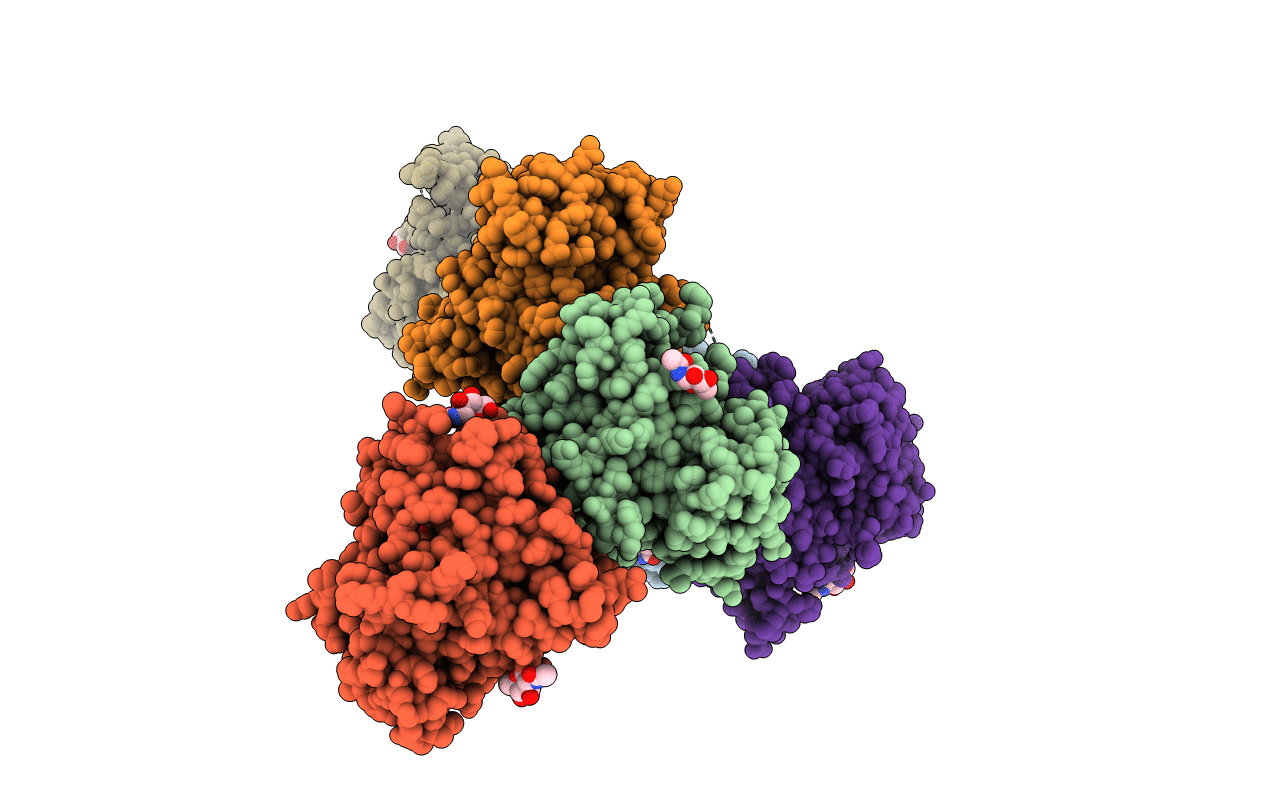 6APL image