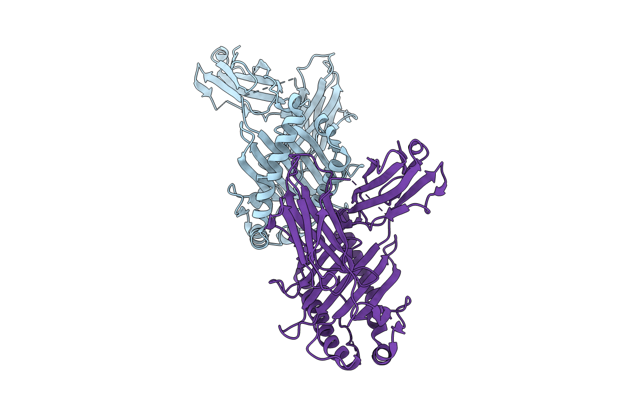 6APN image