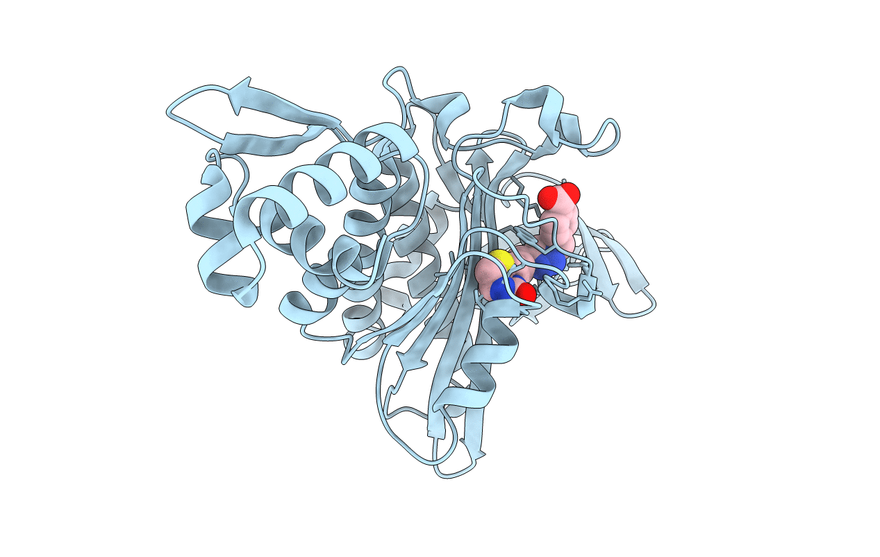 6APW image