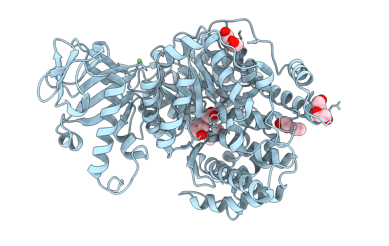 6APZ image