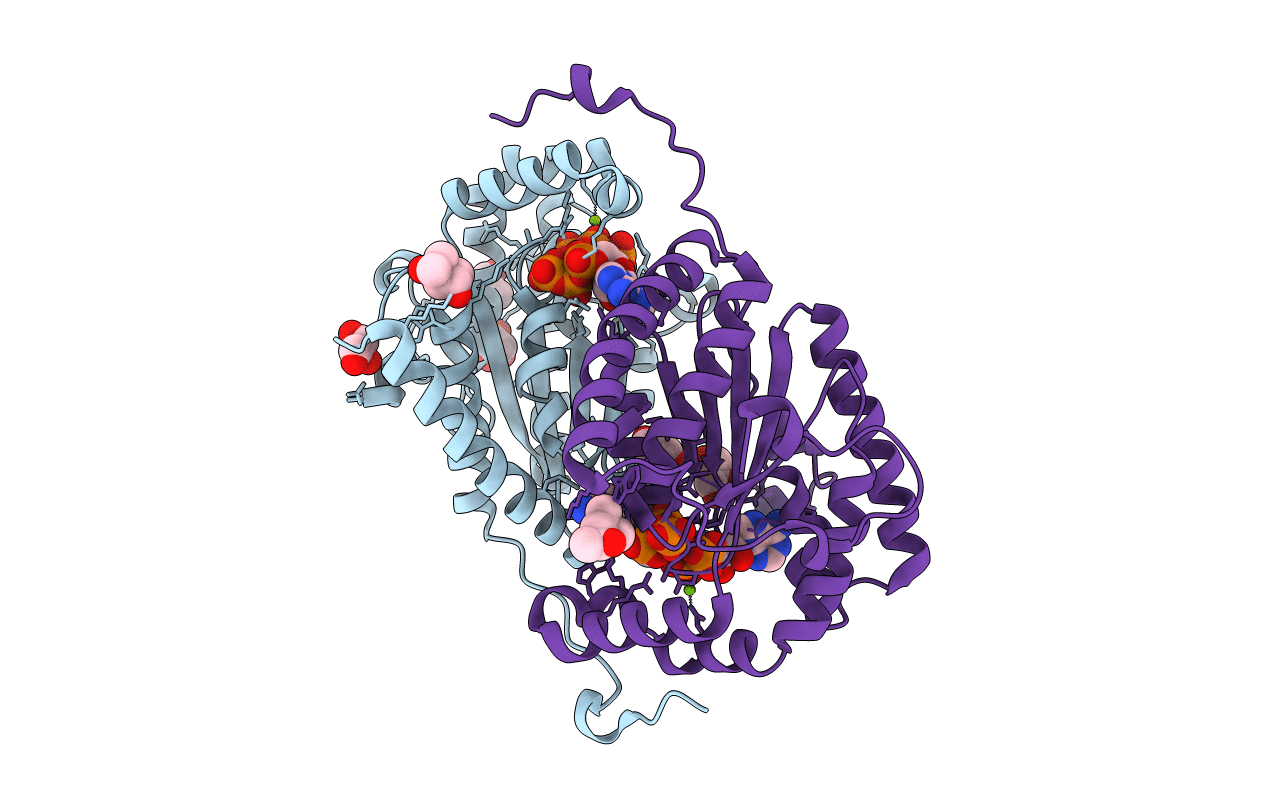 6AQE image