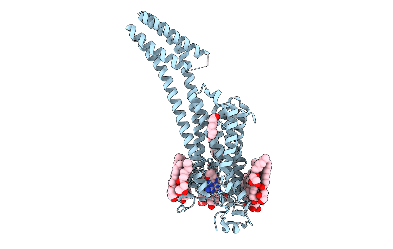 6AQF image