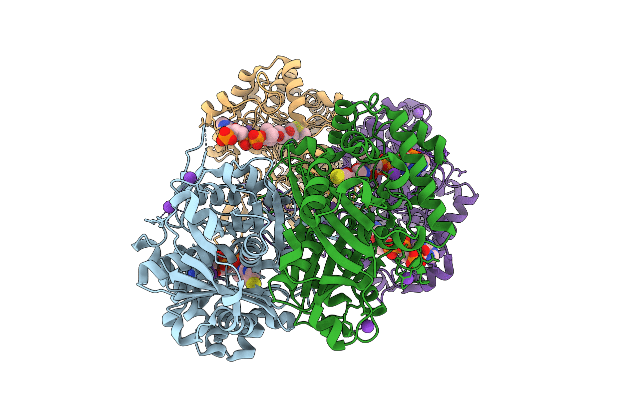 6AQP image