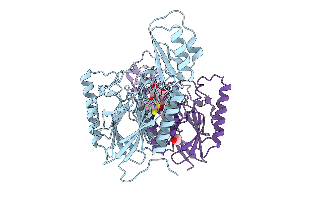 6ASC image