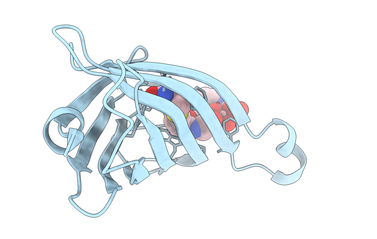 6AUO image