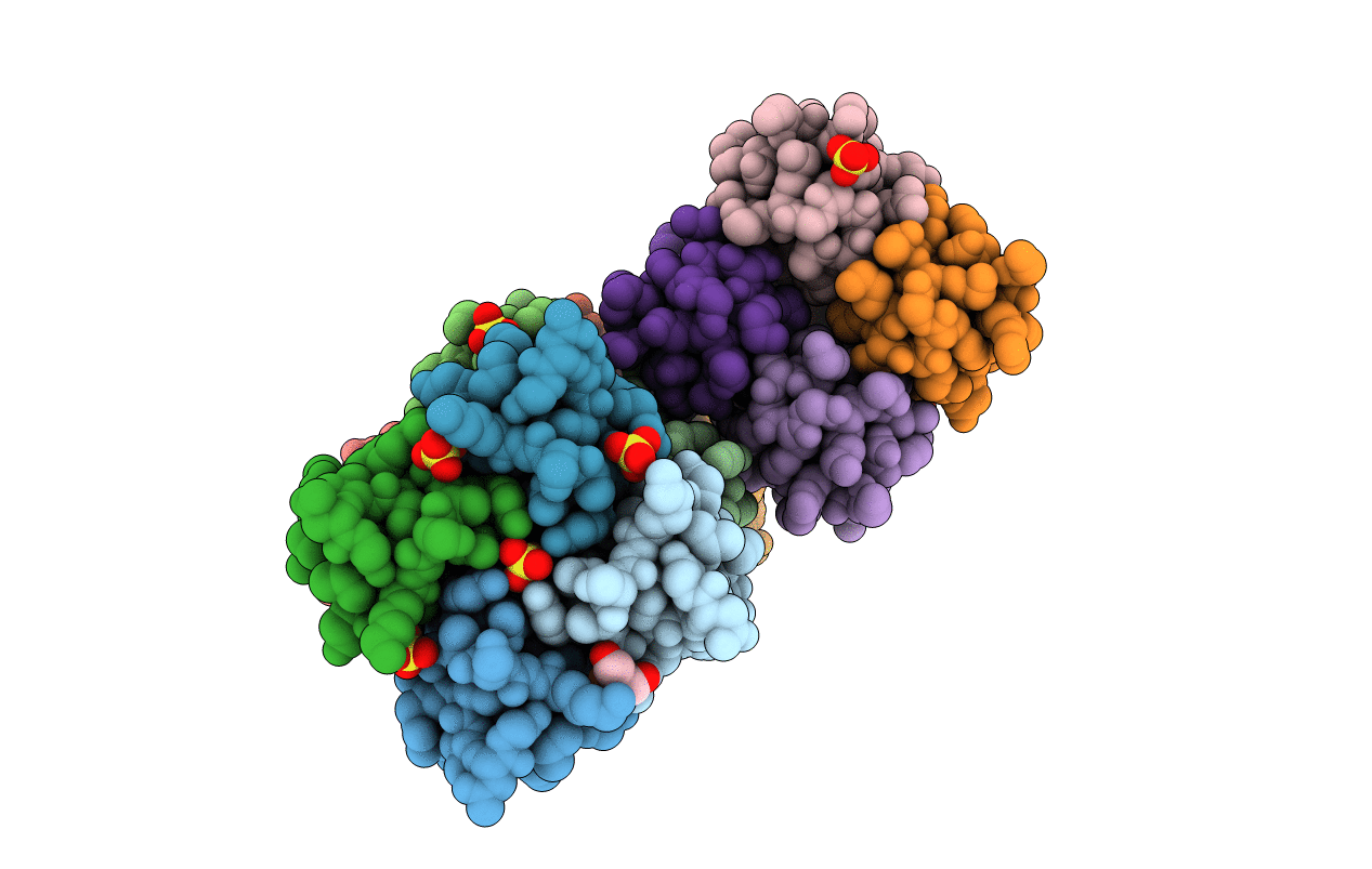 6AUP image
