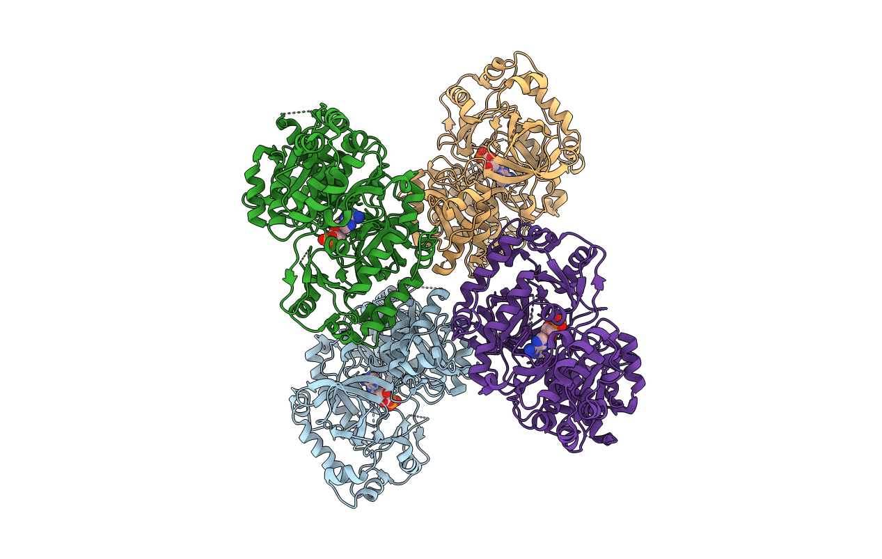 6AVH image