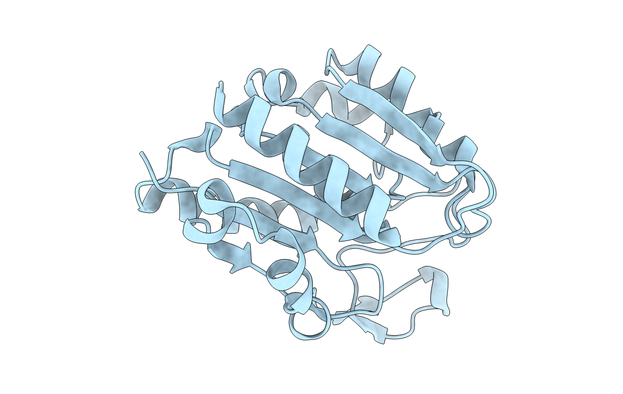 6AVV image