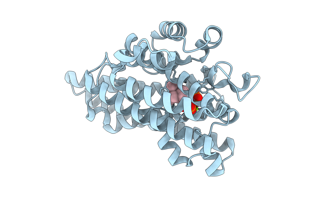 6AXM image