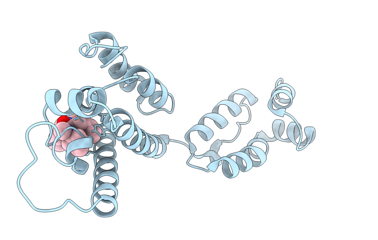 6AXV image