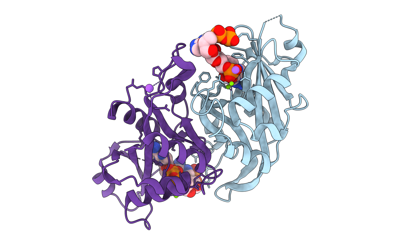 6B09 image