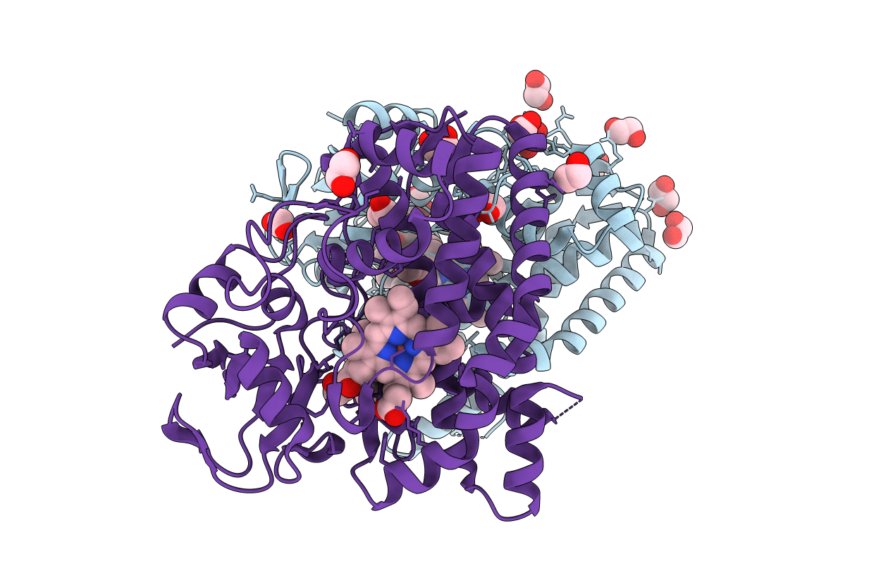 6B11 image