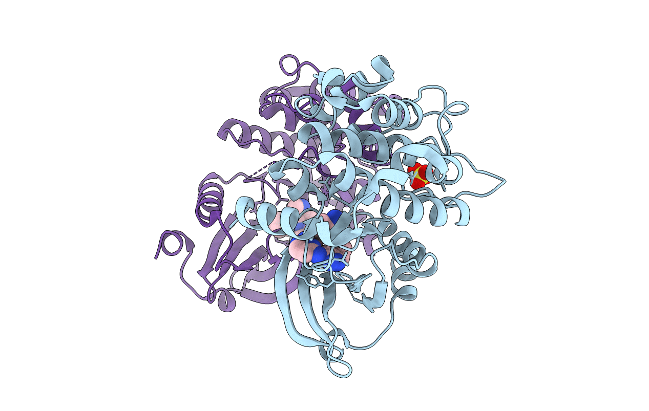 6B16 image