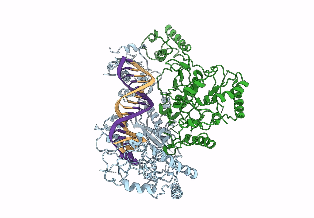 6B19 image