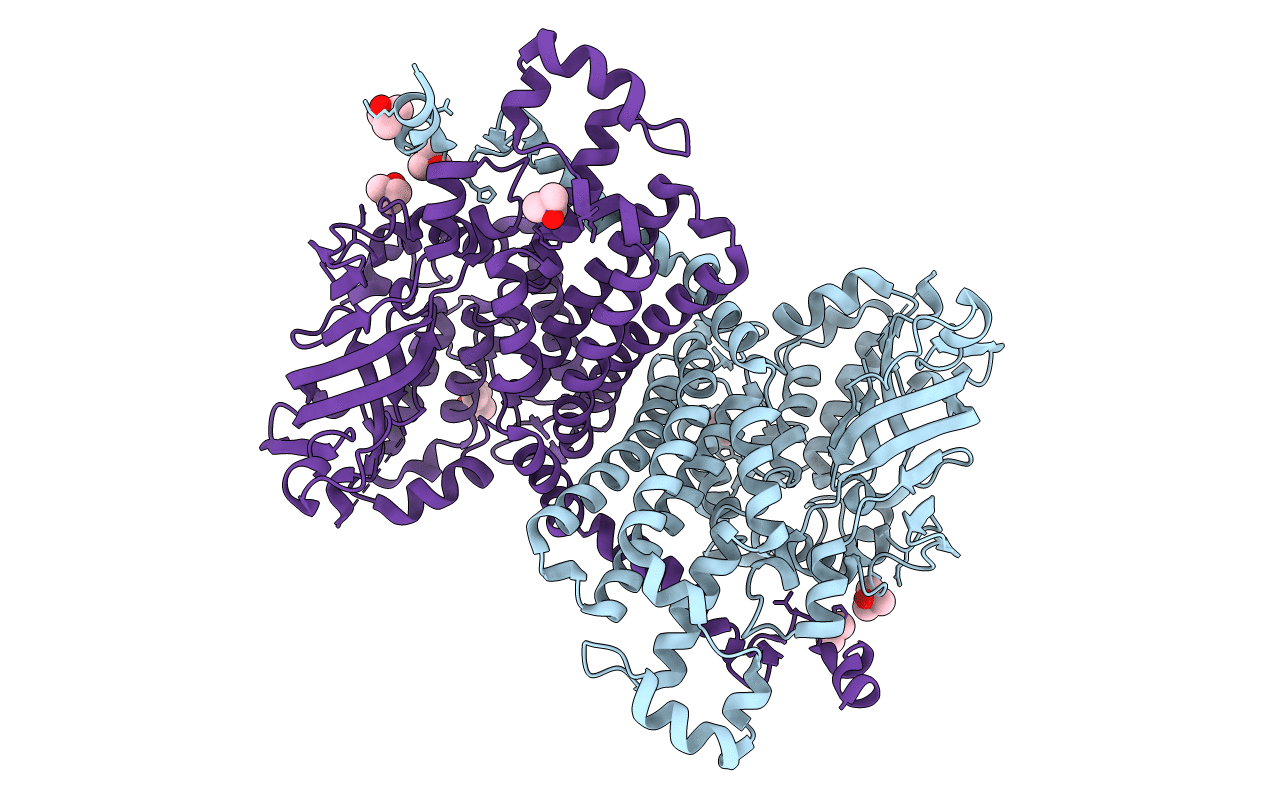 6B1B image