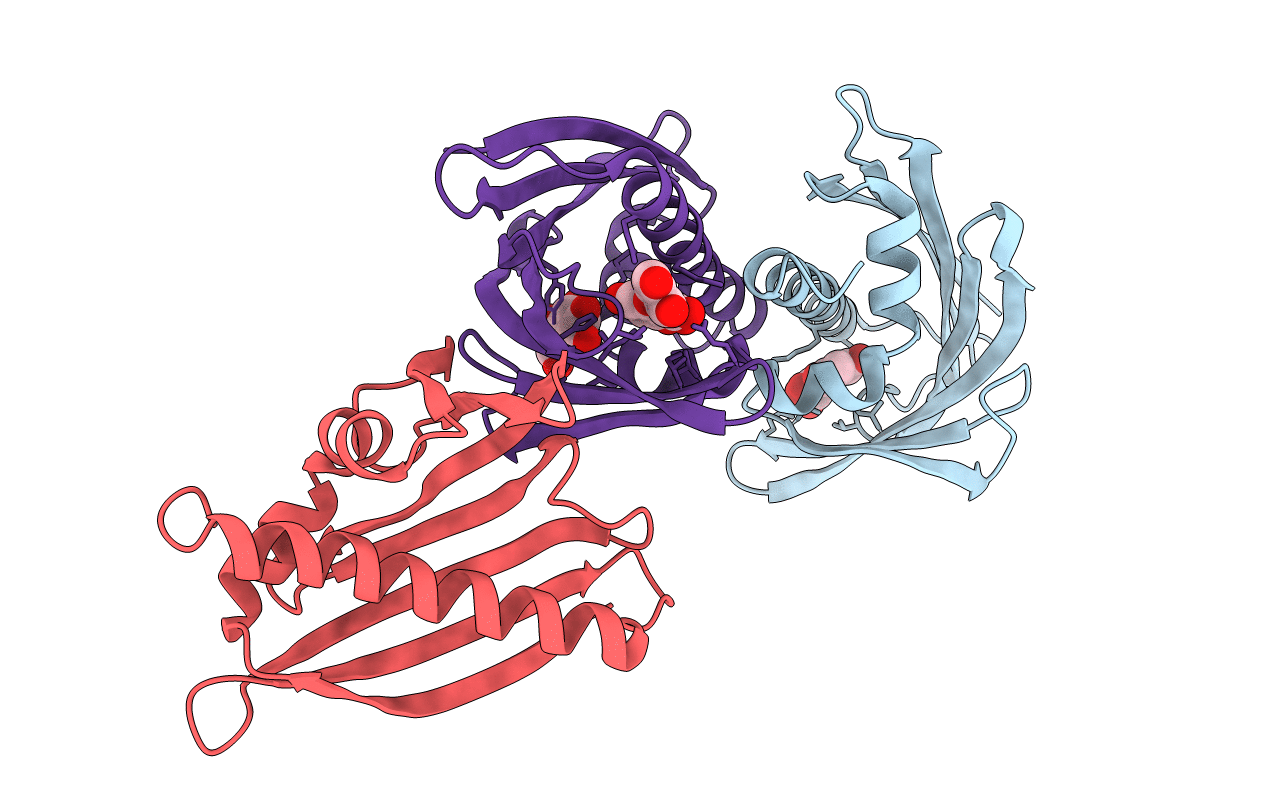 6B1D image