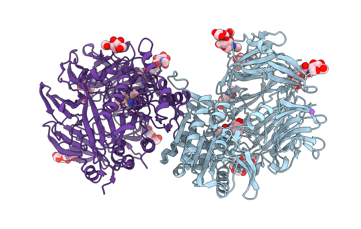 6B1E image