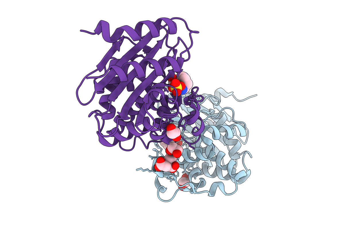 6B1F image