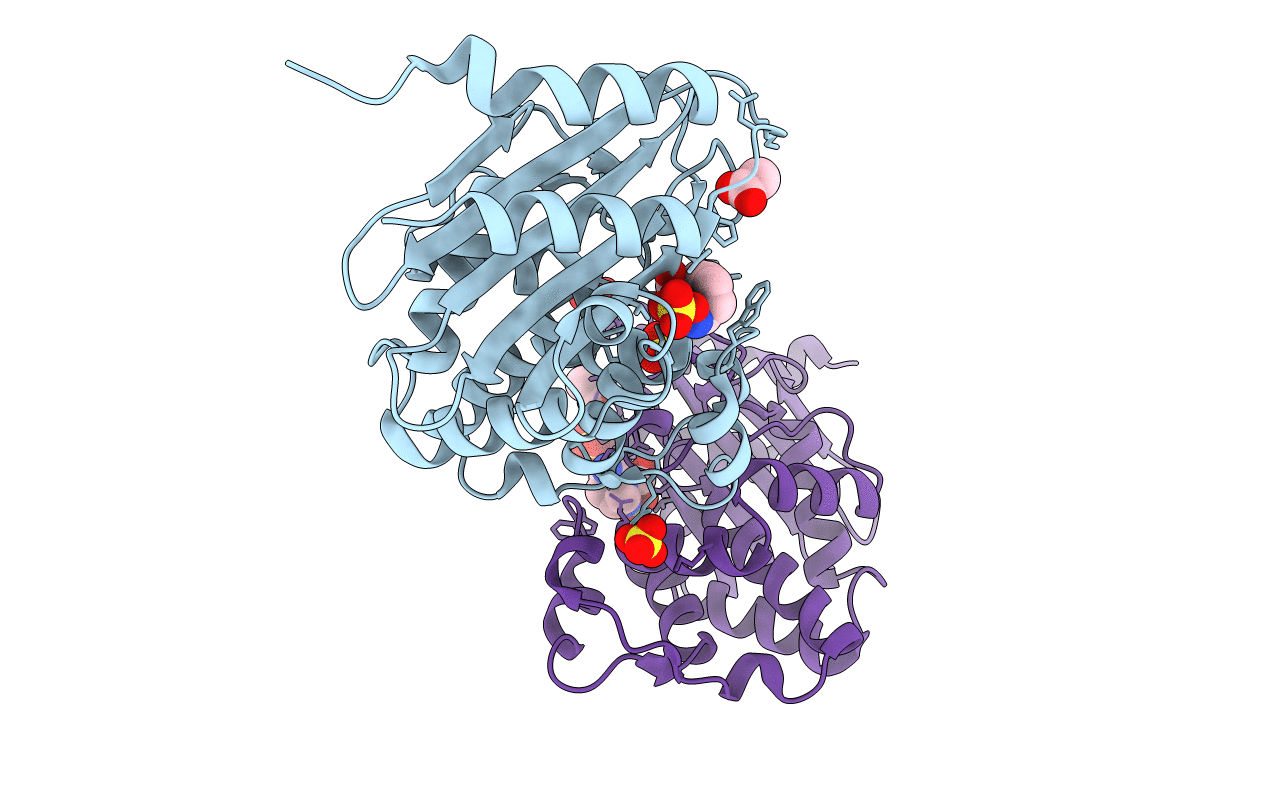 6B1H image