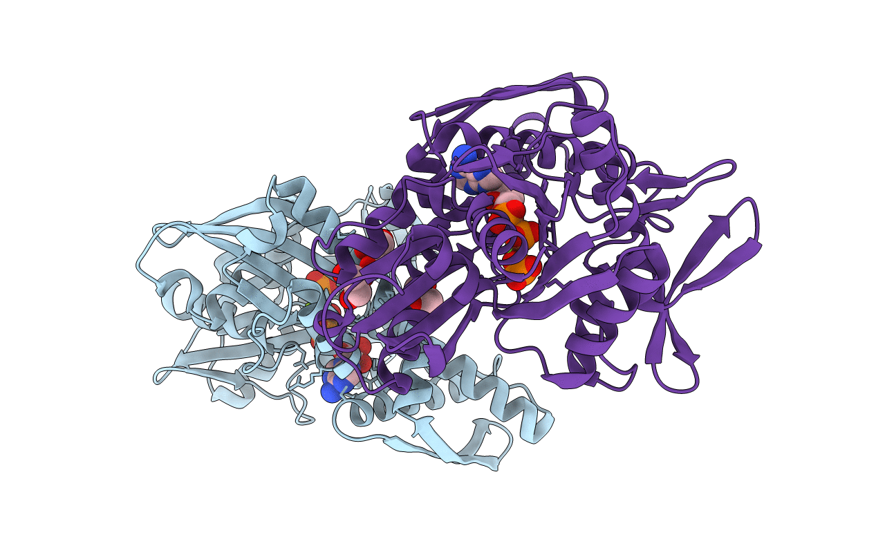 6B1I image