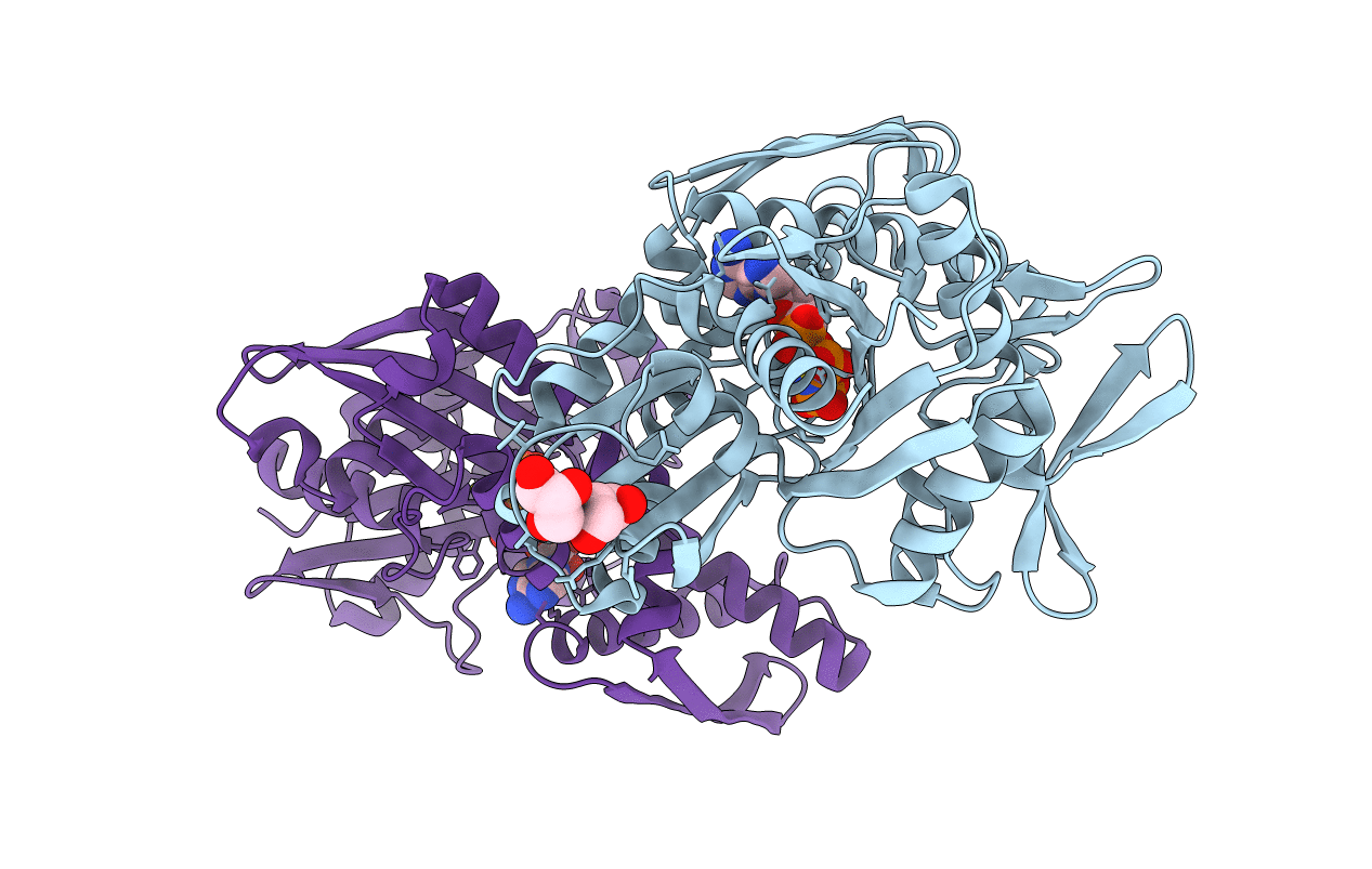 6B1M image