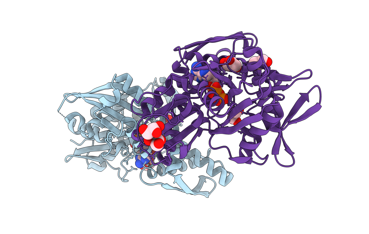 6B1N image