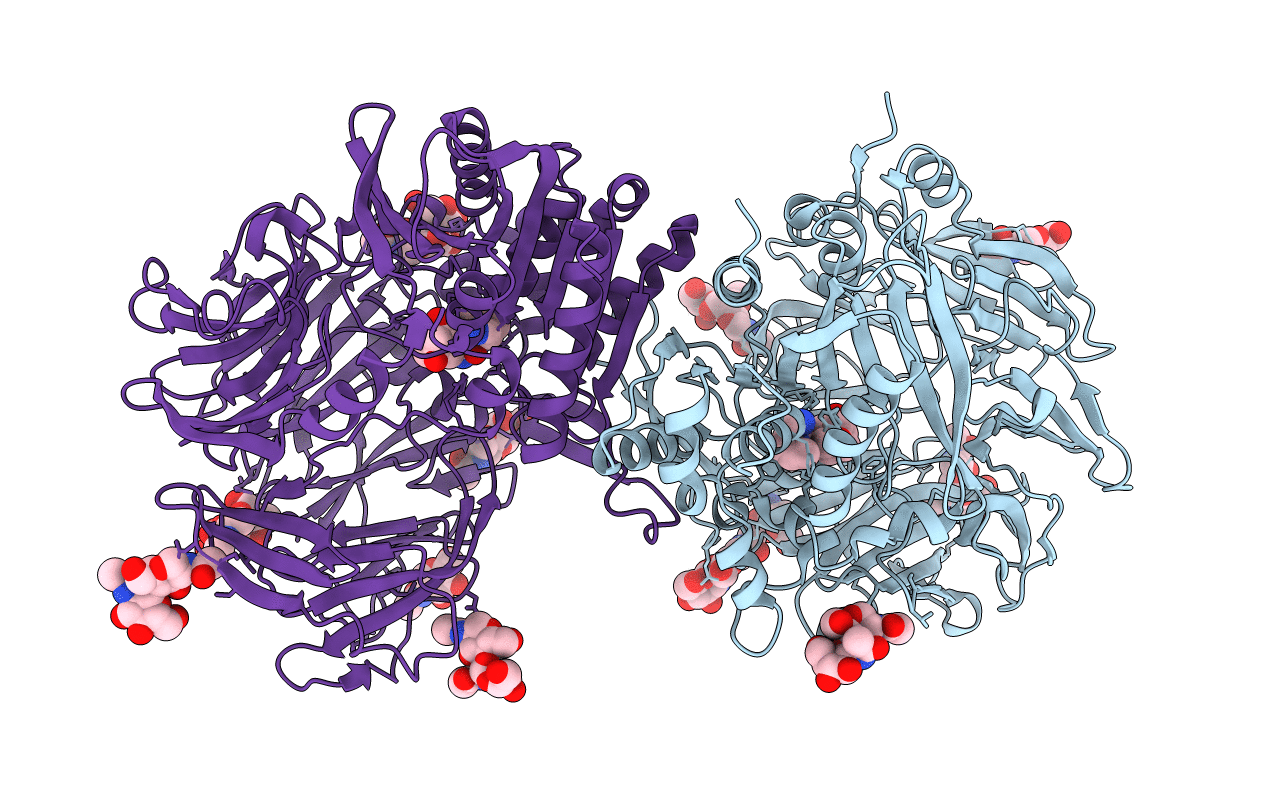 6B1O image