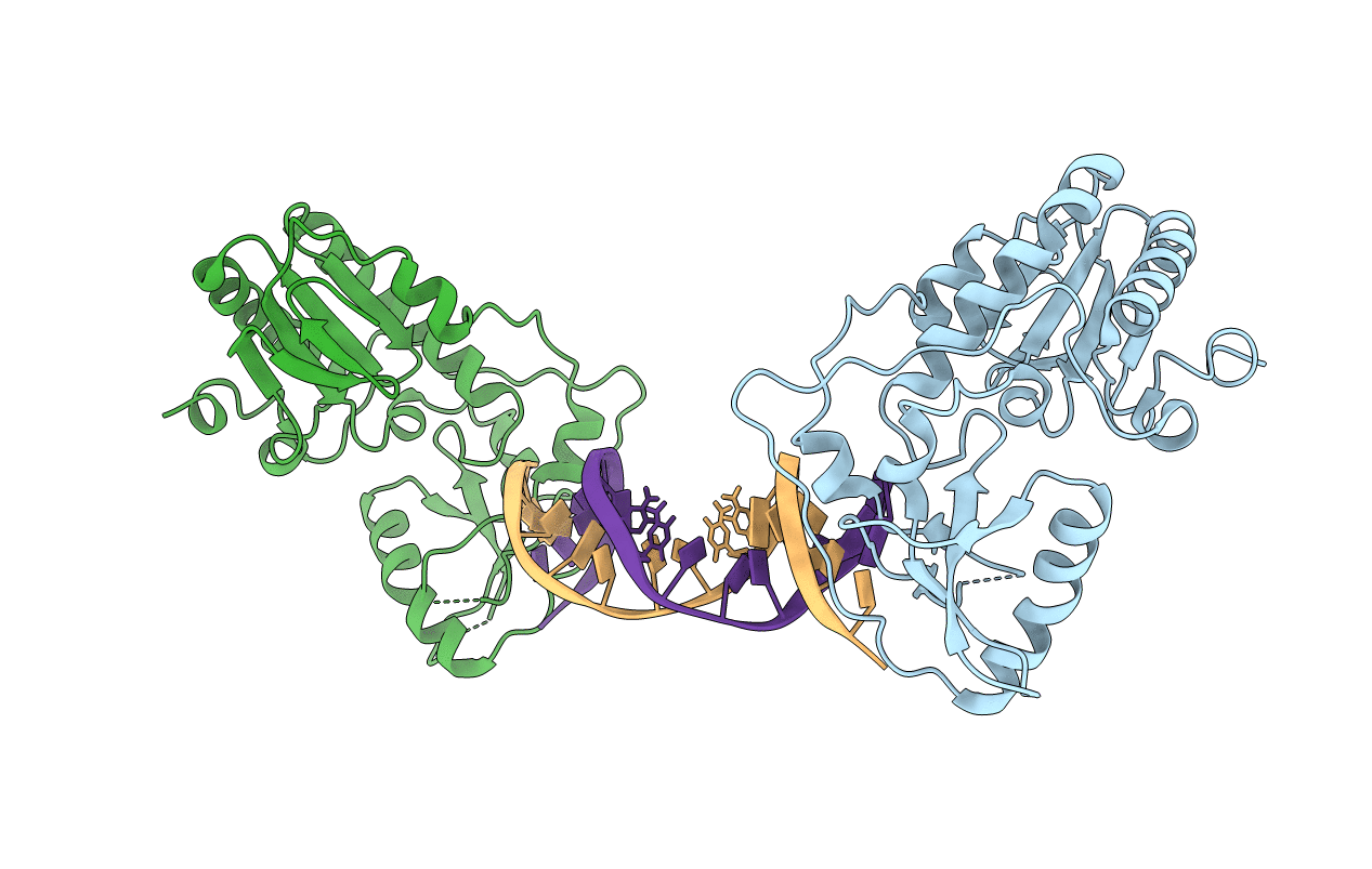 6B1S image