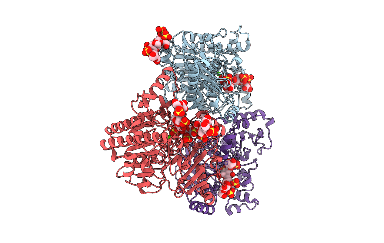 6B1V image