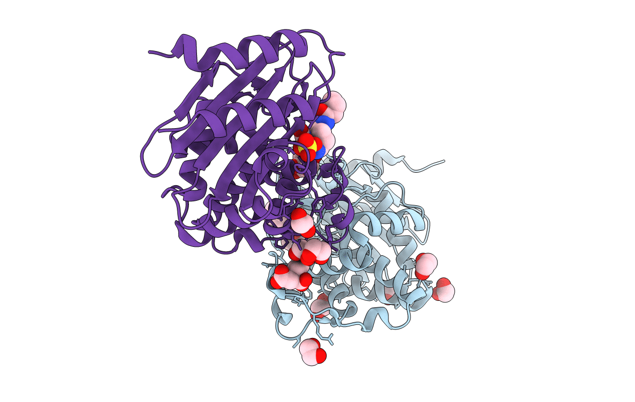 6B1X image