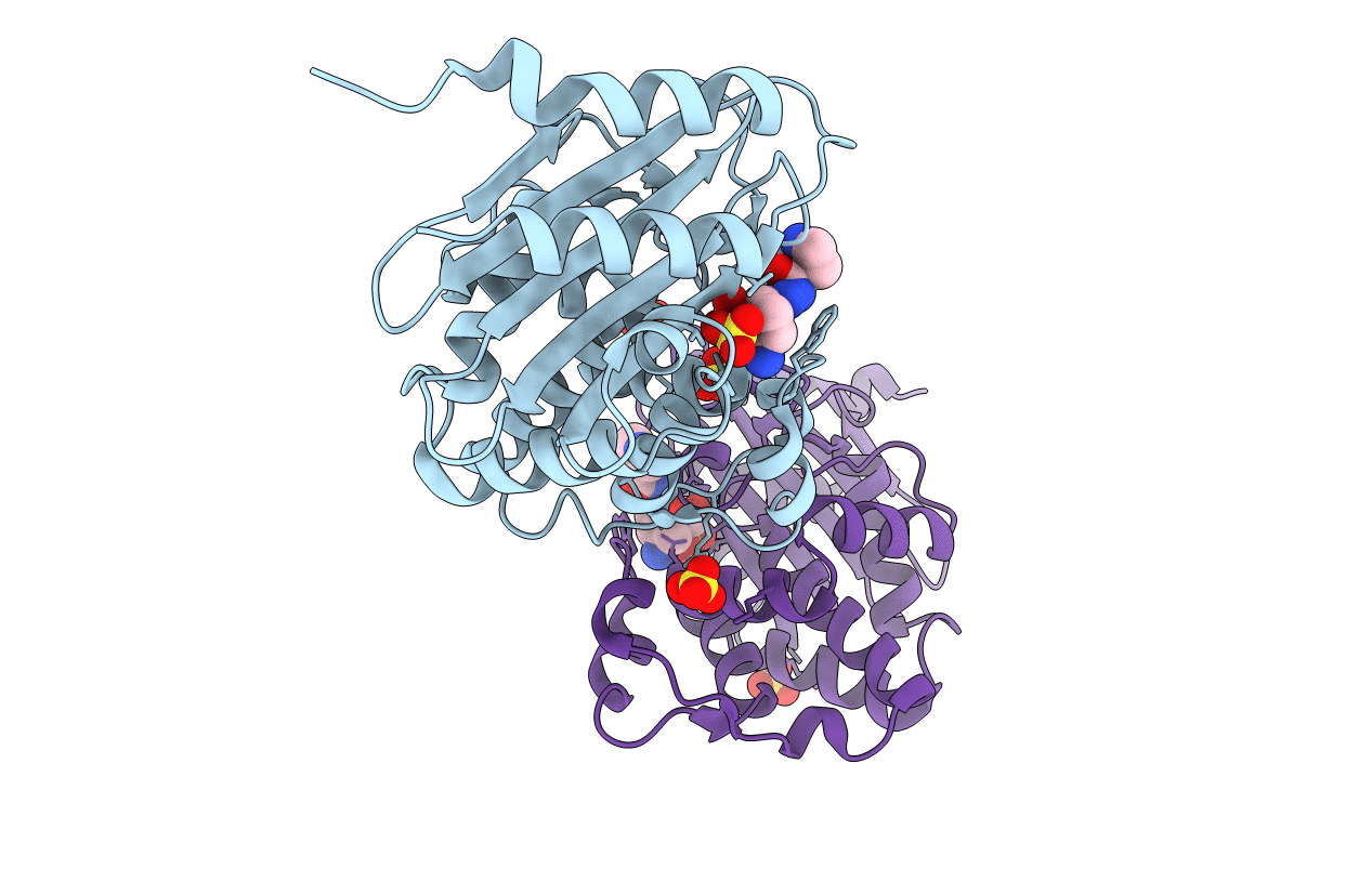 6B1Y image