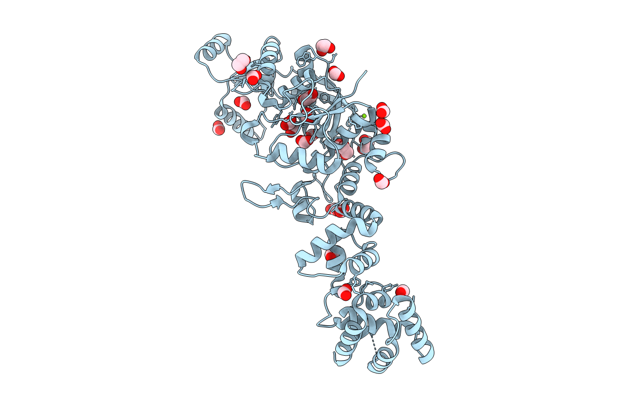 6B1Z image