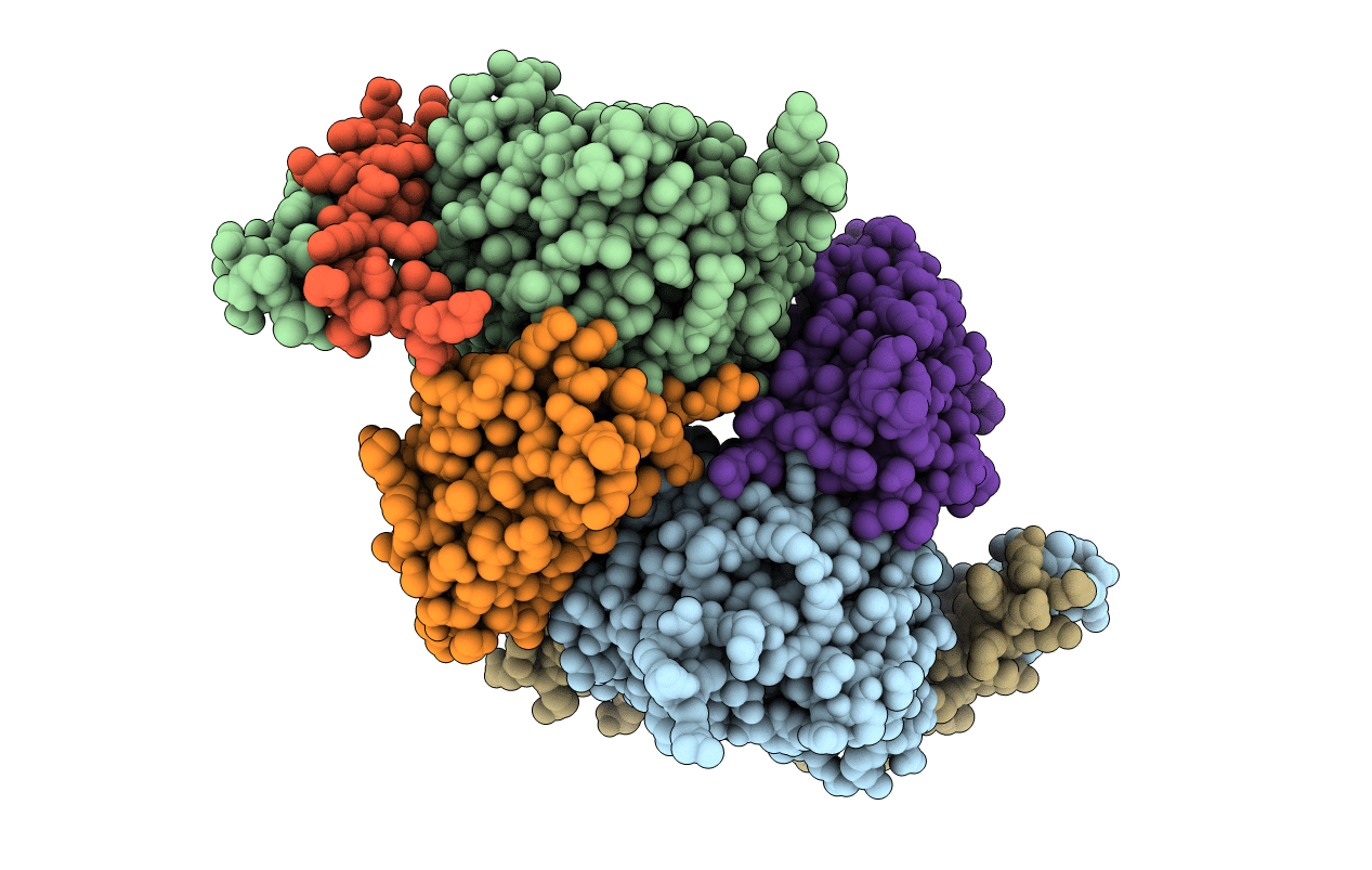 6B20 image
