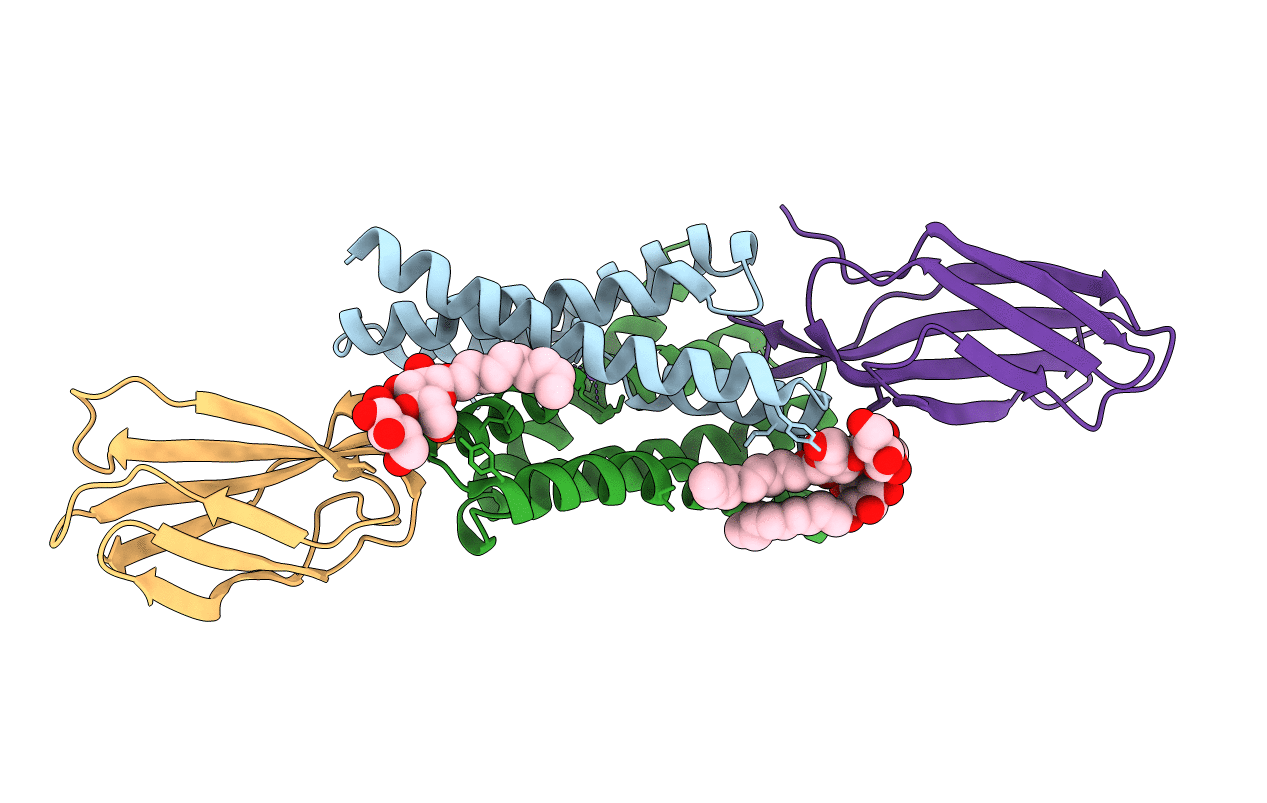 6B24 image