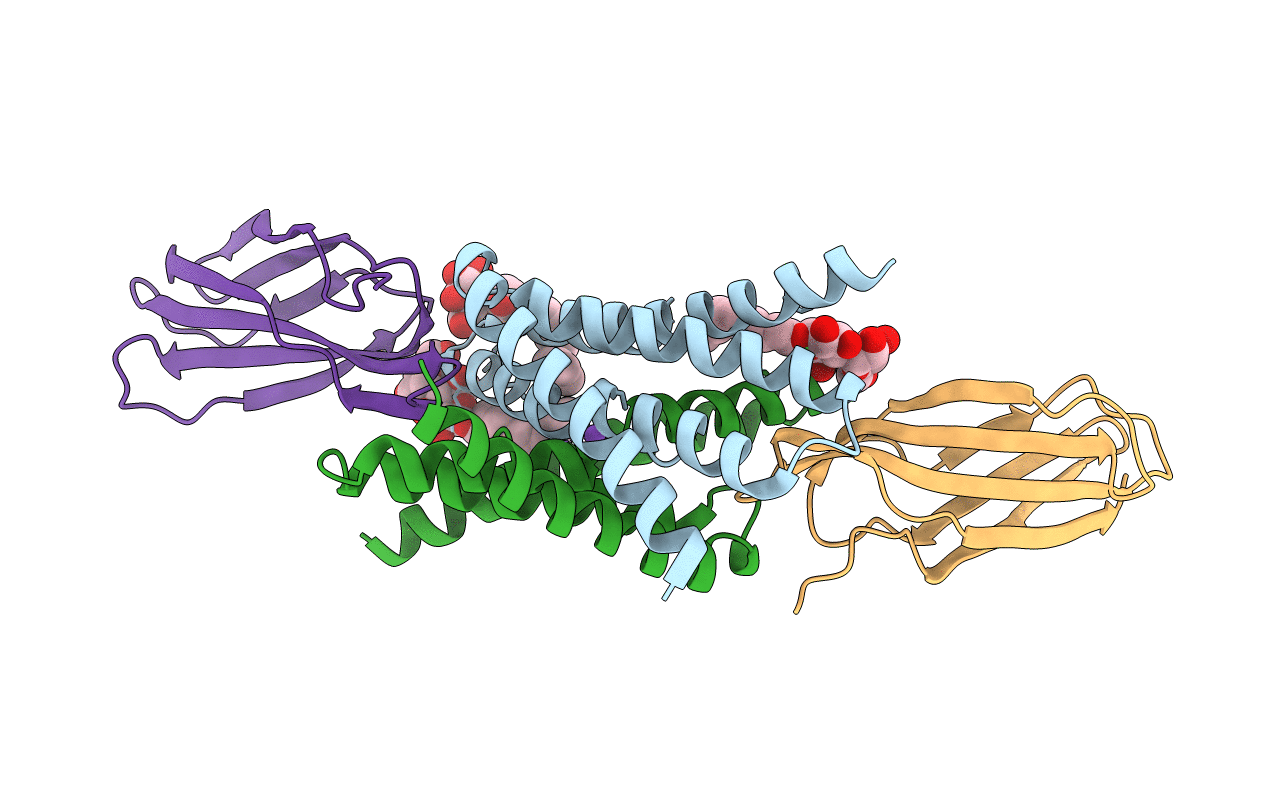 6B2B image