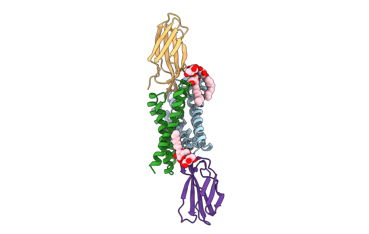 6B2D image