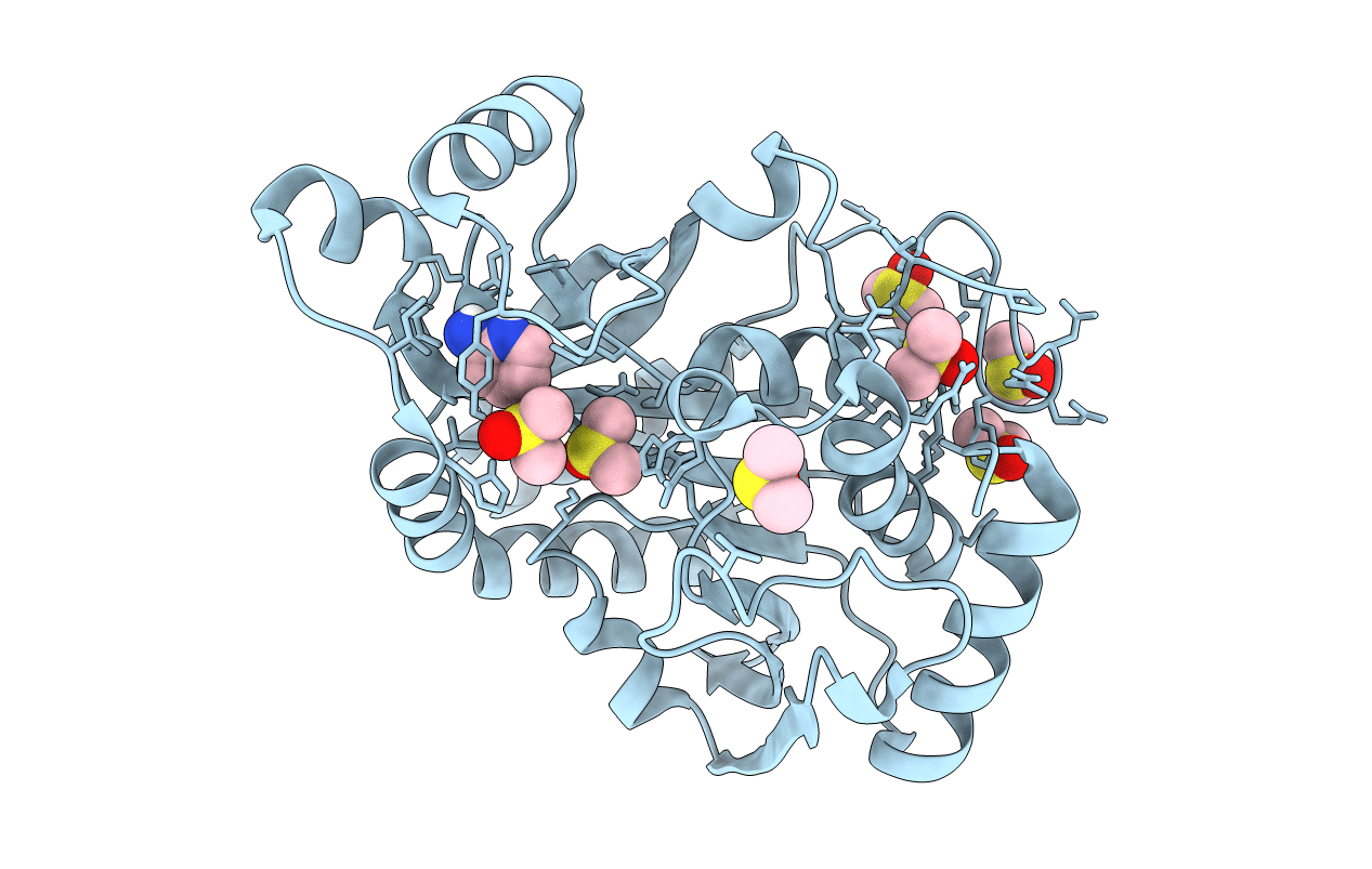 6B2L image