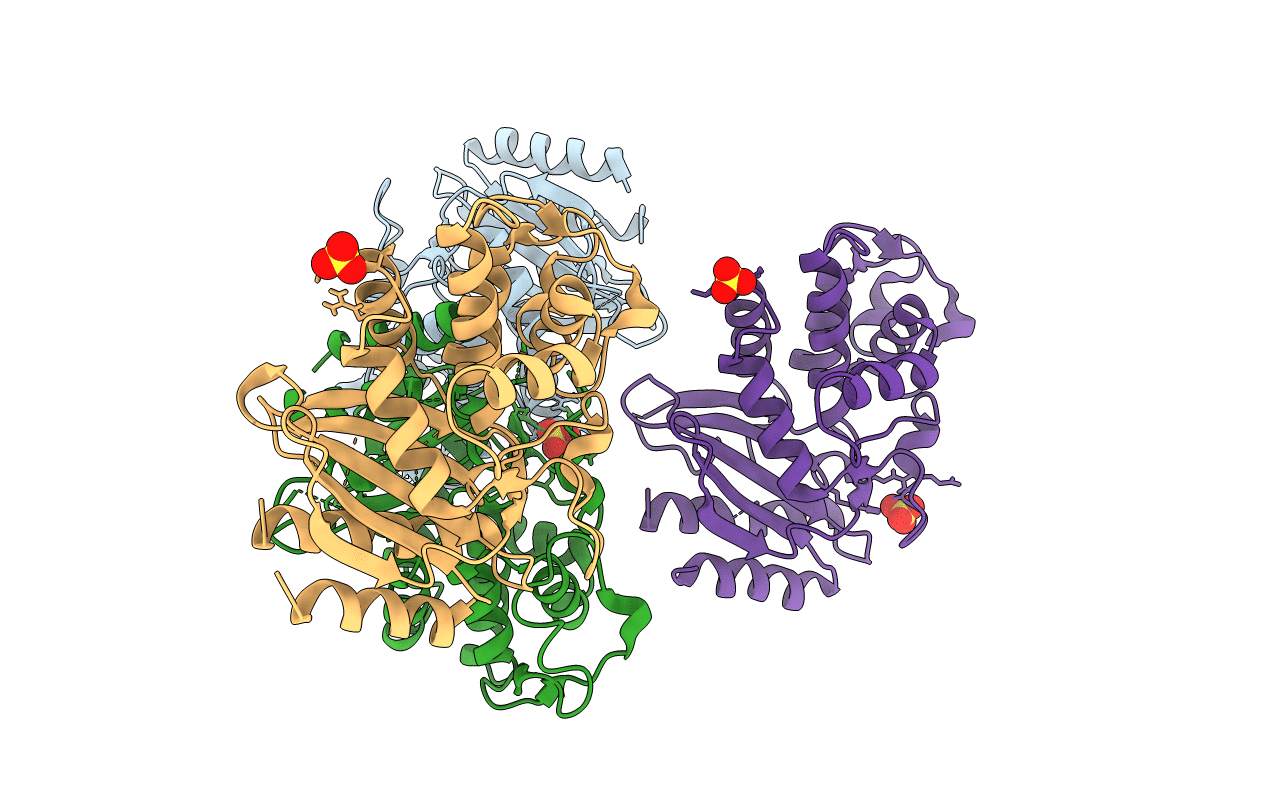 6B2N image