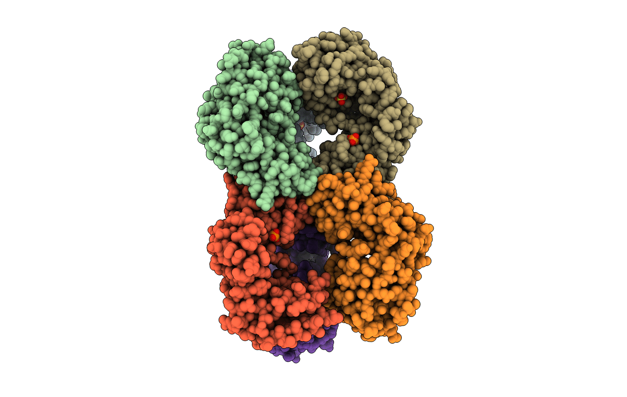 6B2O image