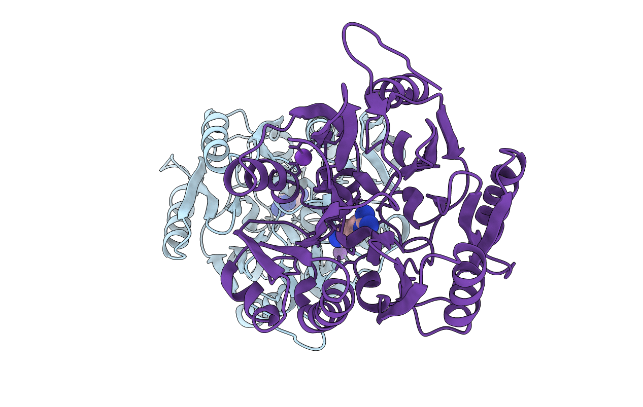 6B2W image