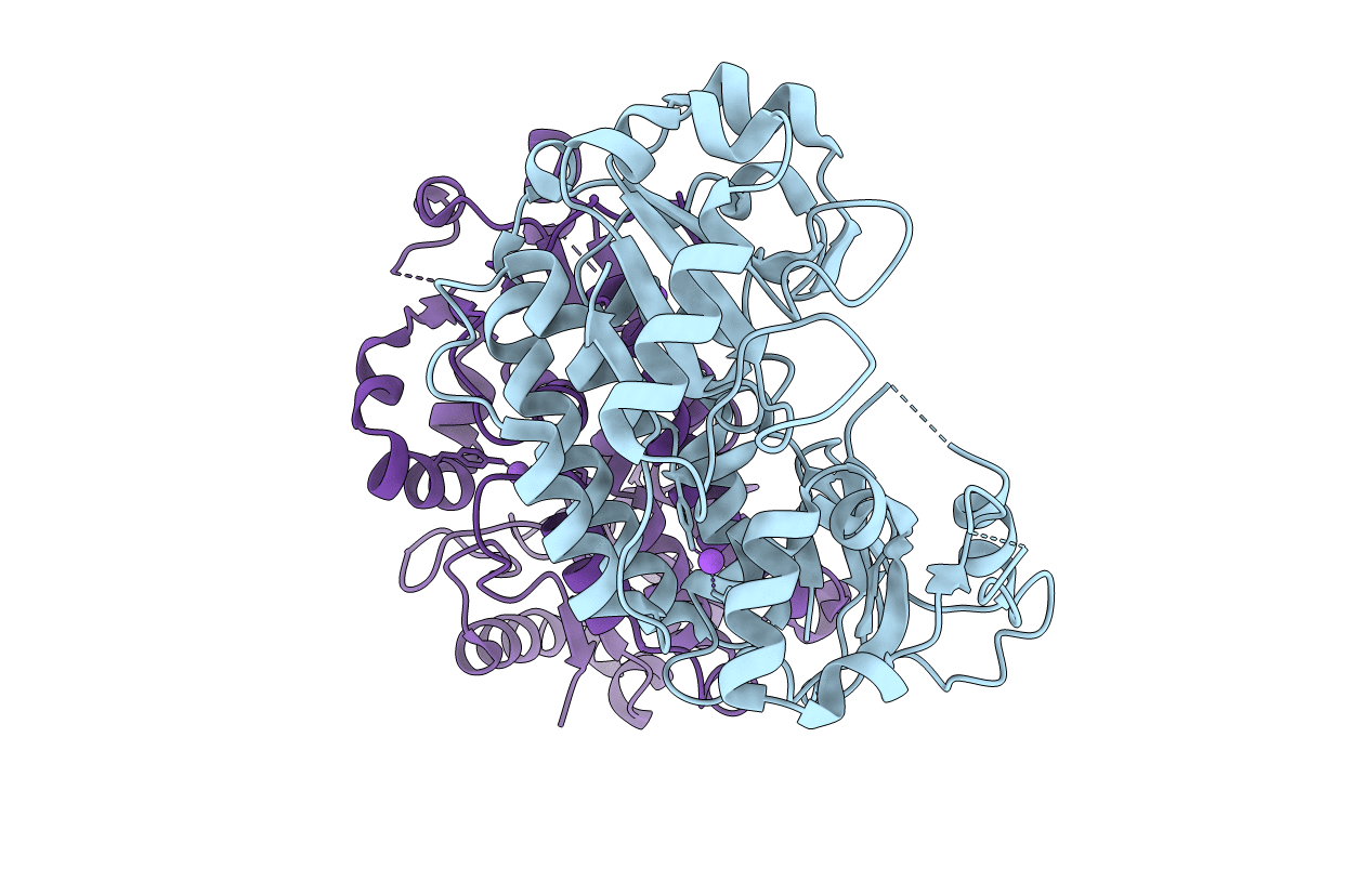 6B2Y image