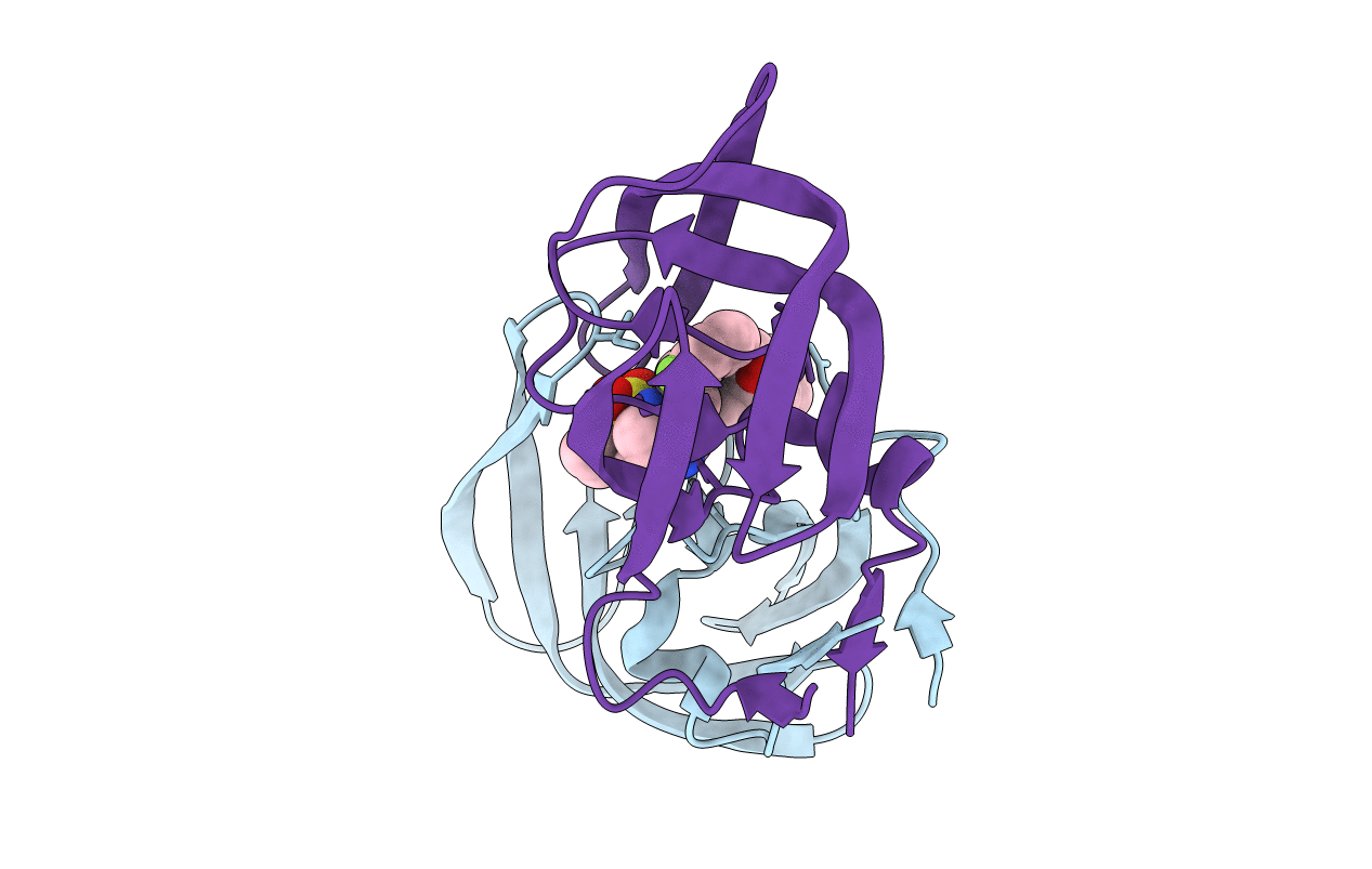 6B3C image