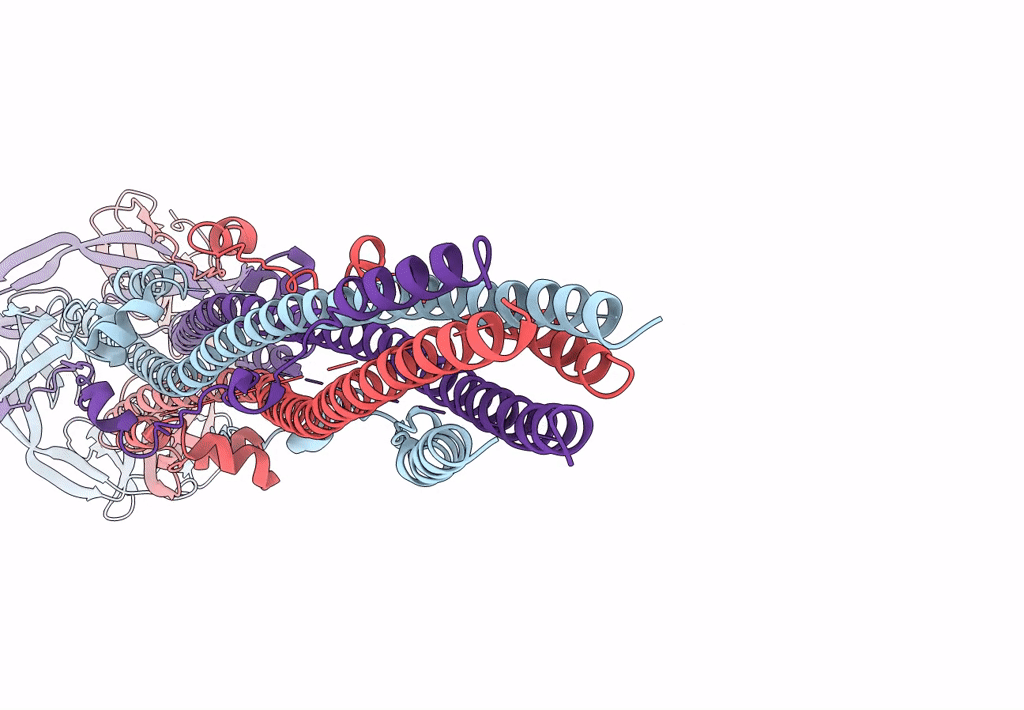 6B3O image