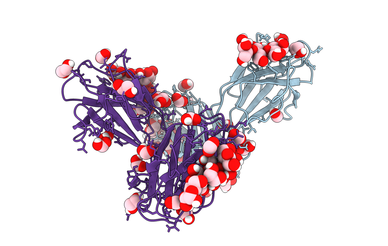 6B3P image