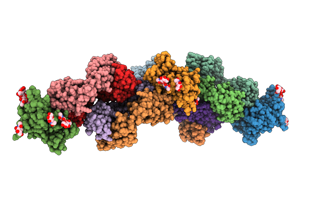 6B3S image