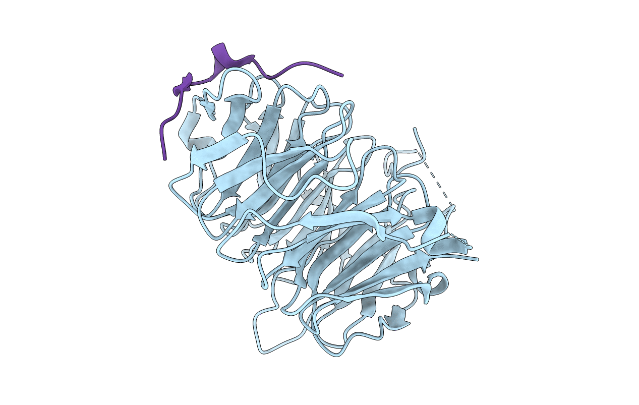6B3X image